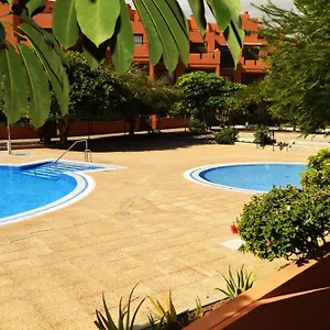 medano-sotavento-pool-great-terrace-and-beach.tenerifehoteles.net/